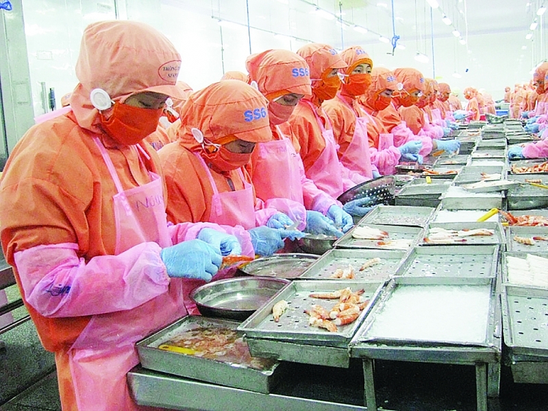 Vietnamese shrimp increasingly appeals to Canadian consumers