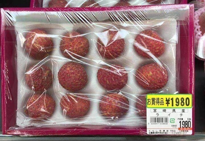 First batch of litchi exported to Japan