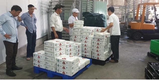 Over the first 2 tons of litchi arrive in Japan