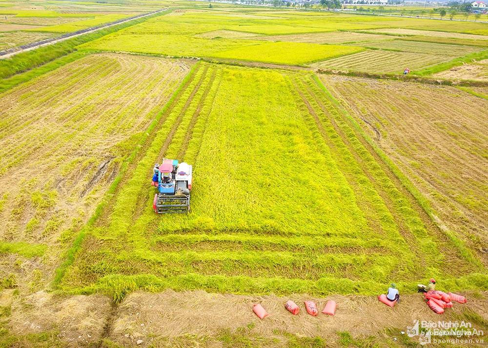 Uncle Ho’s hometown determined to boost socio-economic development