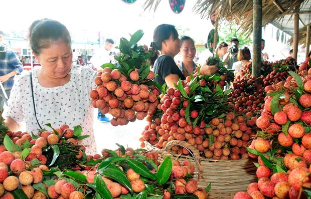 Central Retail to buy 1,000 tonnes of lychee