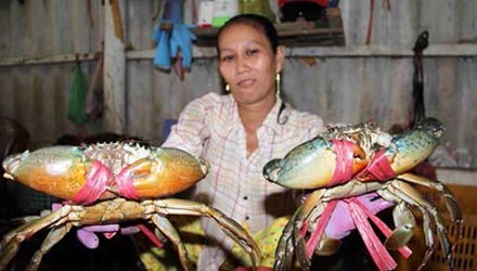 Four-month crab exports increase sharply to 44 5 million USD