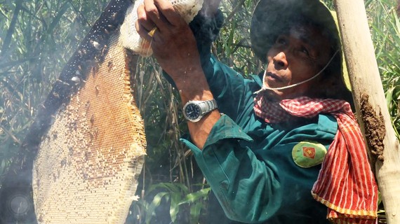 Beekeeping recognised as national intangible heritage