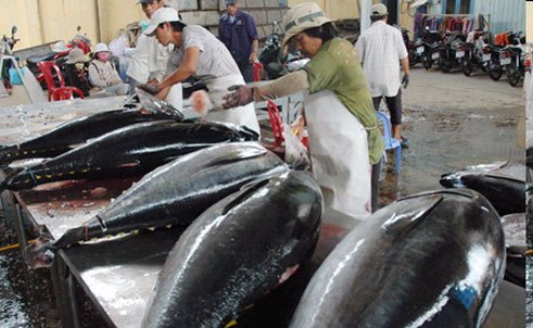 EU to remove import duties on Vietnamese tuna