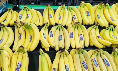 Vietnamese bananas introduced to Lotte supermarket chain in RoK