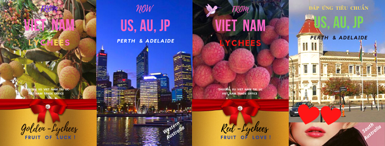Nine tonnes of Vietnamese lychee to be exported to Australia