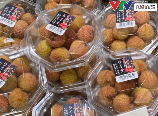 Vietnamese lychee sold out in Japan
