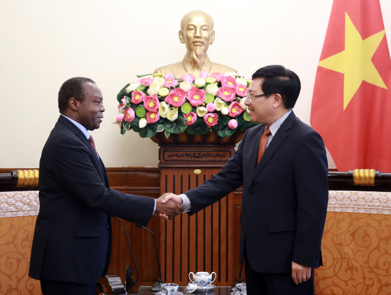 Vietnam provides medical masks for some African countries