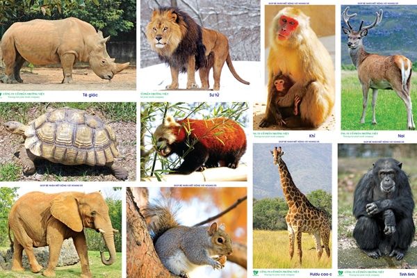 Australia applauds Vietnam’s ban of wildlife imports and markets