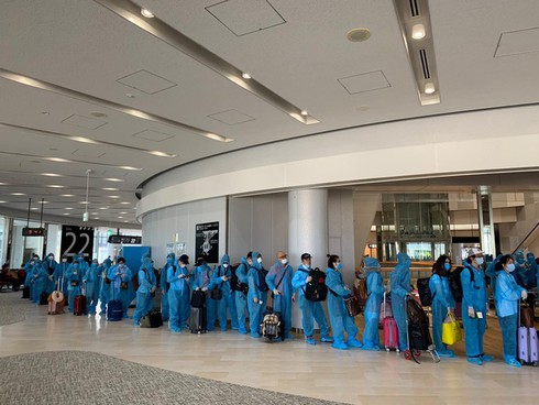 More Vietnamese citizens brought home from Japan