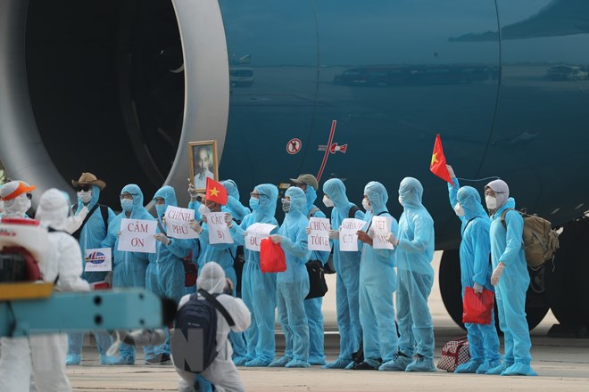 219 Vietnamese workers brought home safely from Equatorial Guinea