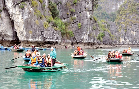 Quang Ninh cuts accommodation fees by half on Ha Long Bay