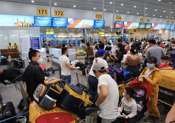 Nearly 300 Vietnamese citizens in Russia brought home