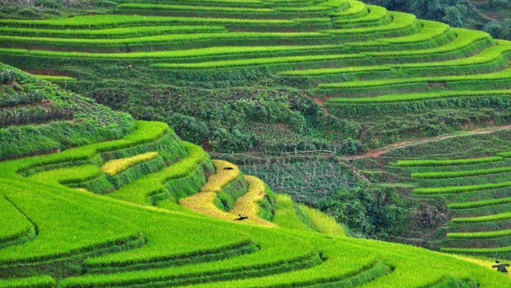 Sa Pa, Ninh Binh among Top up-and-coming destinations in Asia
