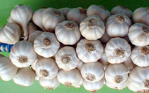 Ly Son garlic granted certificate of geographical indication