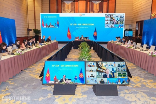 ASEAN economic ministers hold consultation with Australia, New Zealand