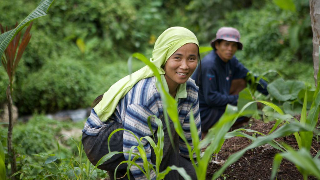 ADB to help boost farm incomes in the Philippines with USD400 million loan