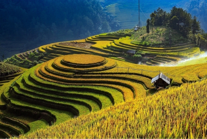 Mu Cang Chai Terraced Field Festival