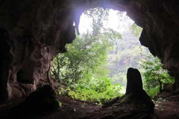 Prime Minister approves plan to conserve archaeological relics of Con Moong Cave