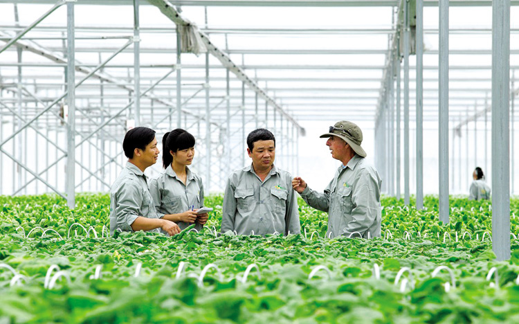 Southern city to develop 300 additional cooperatives