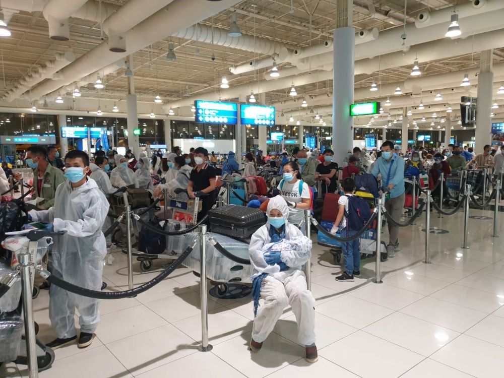 Over 260 Vietnamese citizens flown home from UAE