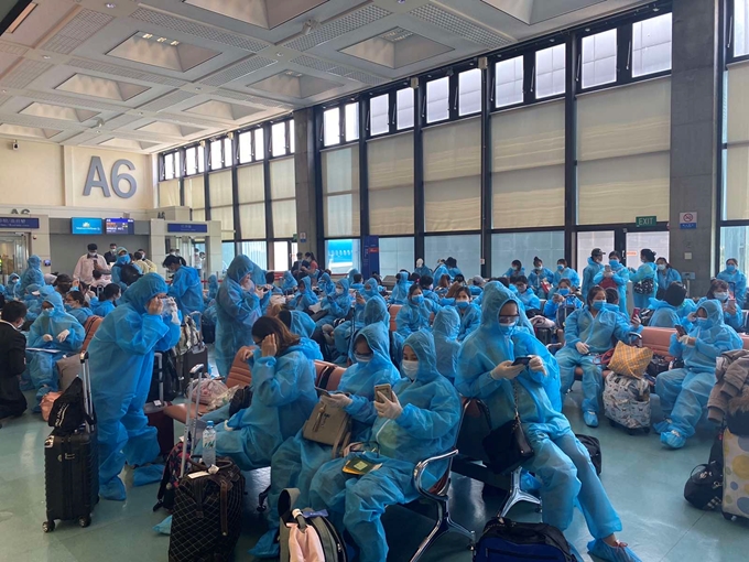 Nearly 240 Vietnamese citizens arrive home from Philippines
