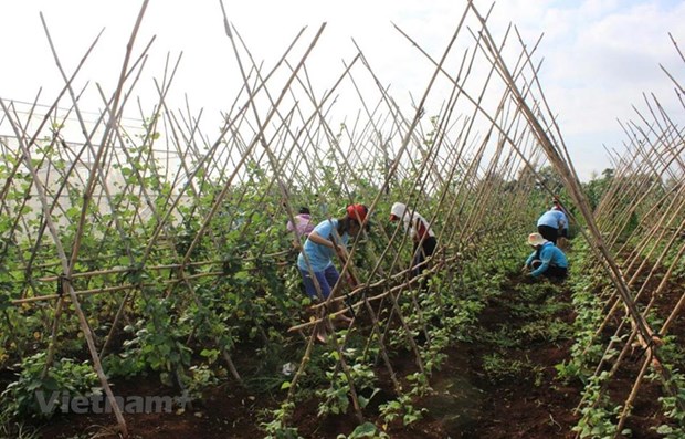 Vietnam’s CPI index goes up slightly in August