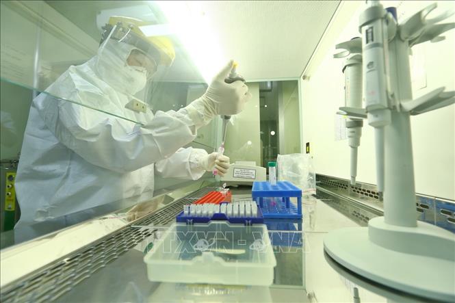 Vietnam joins coordinating council of COVID-19 prevention program