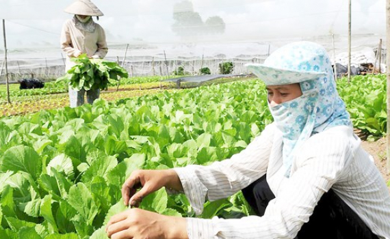 Southern city to fulfill new-style rural area construction in 2021