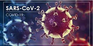 Vietnamese student in RoK negative for SARS-CoV-2