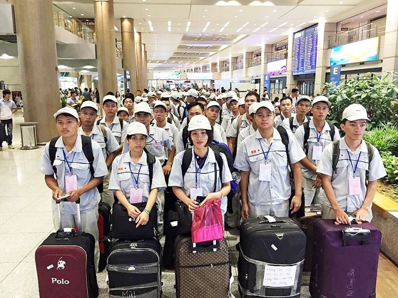 Vietnamese workers in RoK allowed borrowing money while waiting to return home