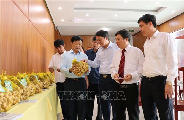 Vietnam-China trade hits over USD111 billion