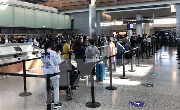 Over 350 Vietnamese citizens flown home from UK