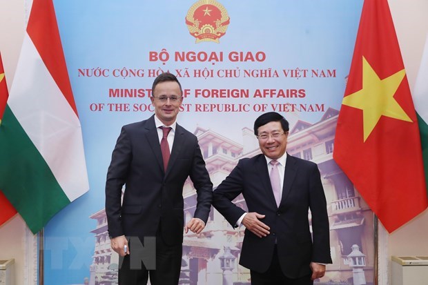Deputy PM, FM highlights Vietnam-Hungary traditional friendship