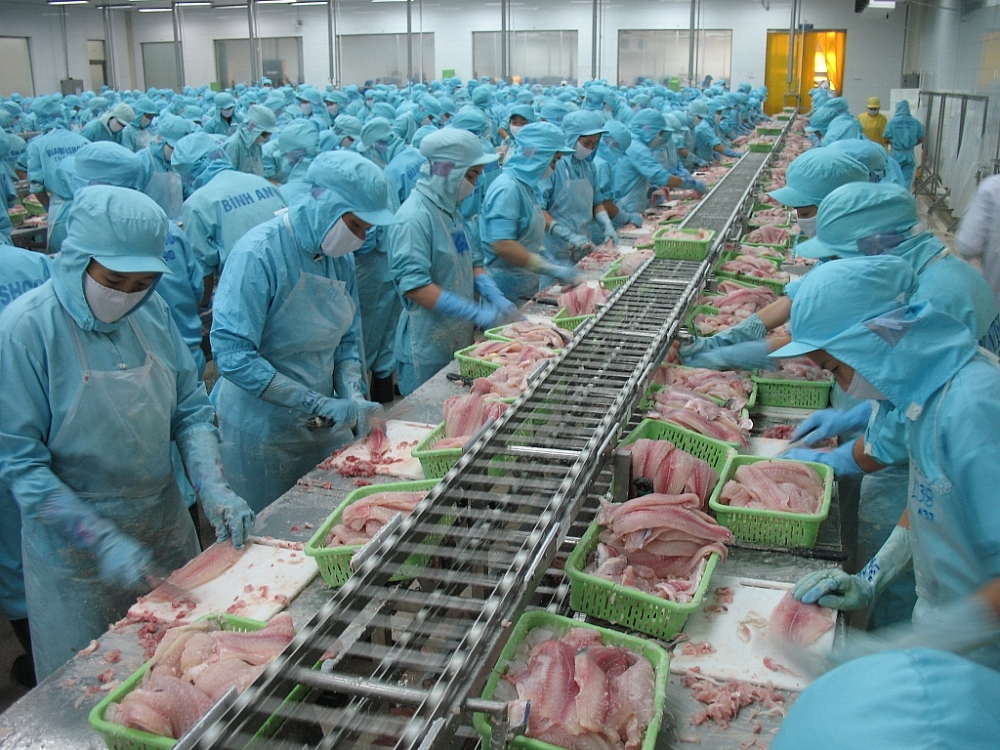 China, US account for over 50 of exports of Vietnamese tra fish