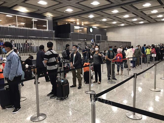 More Vietnamese citizens brought home safe from US and Brunei