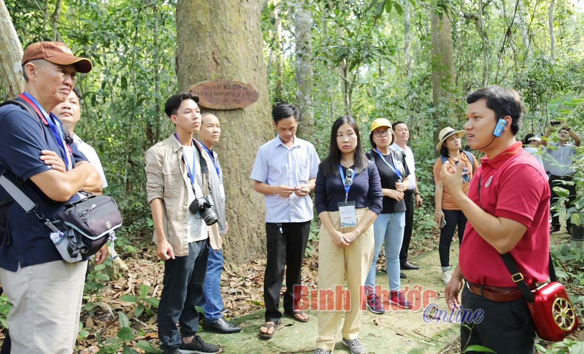 Southeastern localities unite to stimulate tourism demand