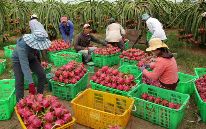 Agricultural exports to the EU surge