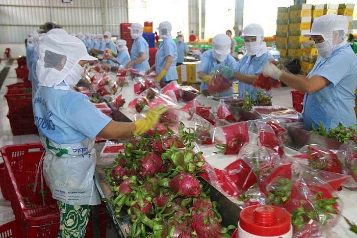 Country bags over USD33 billion from agro-forestry-fishery exports