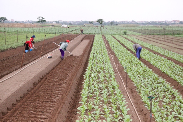 Capital city boosts socio-economic development in final quarter