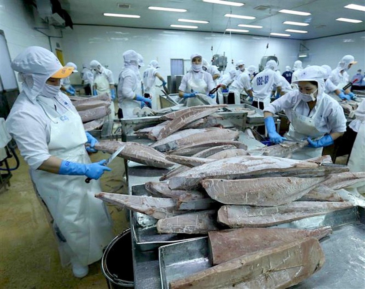 Local tuna exports to US market enjoy swift recovery