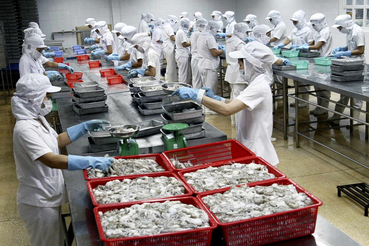 Vietnam - leading shrimp exporter to Canada
