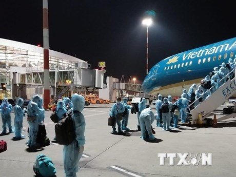 Over 340 Vietnamese citizens brought home safely from Germany and Romania