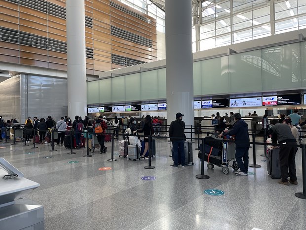 Vietnam Airlines brings home over 340 Vietnamese citizens from Japan