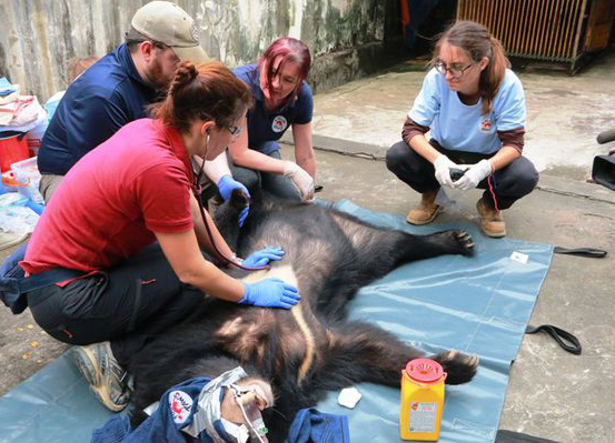 VND28 billion to conserve Hanoi’s rare and precious fauna and flora species