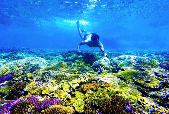 Developing coastal village promotes ecological value