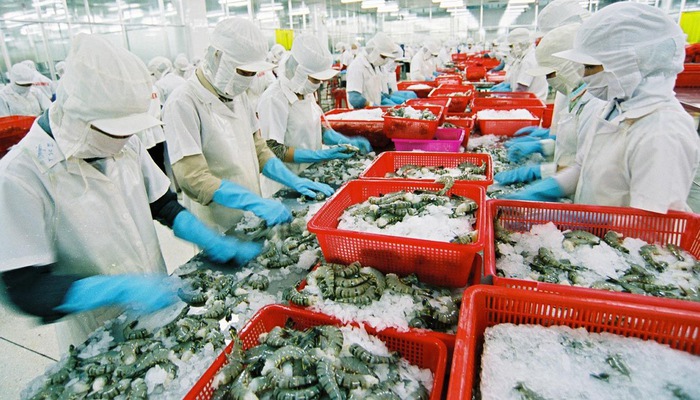 Stable and firm Vietnam - EU cooperation