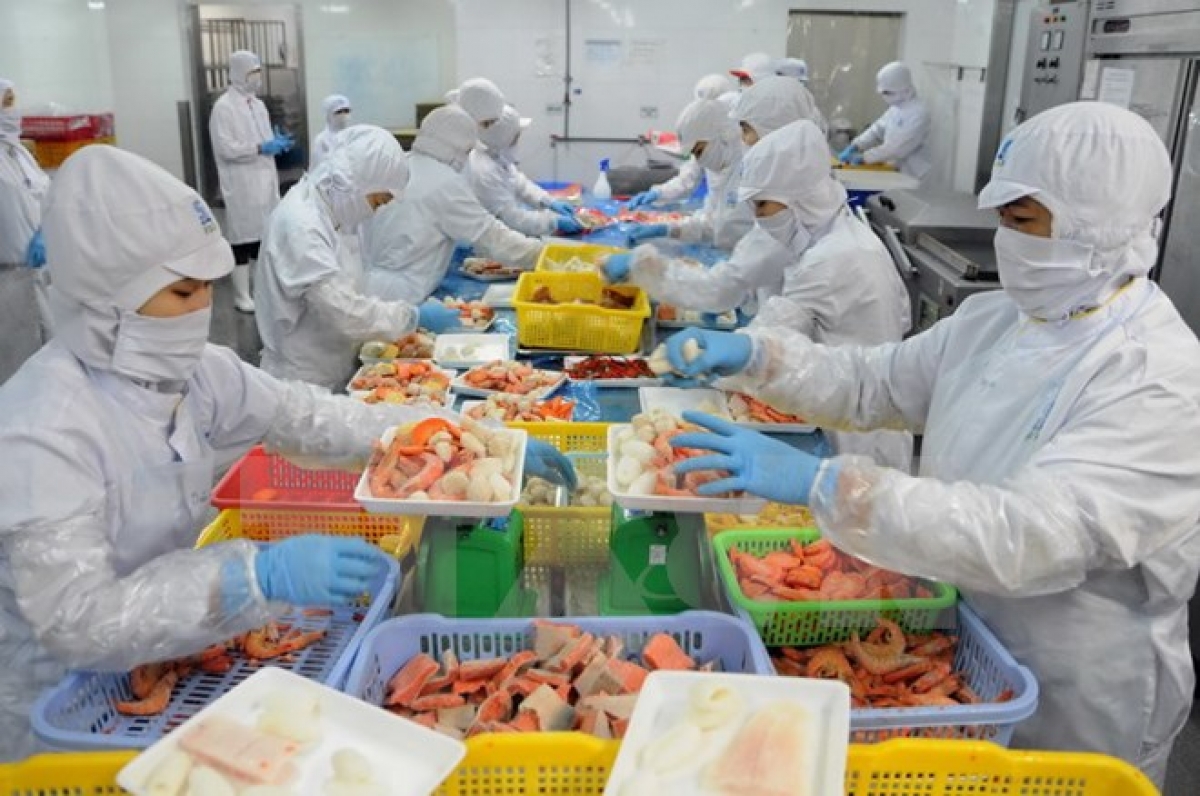 Brazil seeks broader trade and economic ties with ASEAN, Vietnam