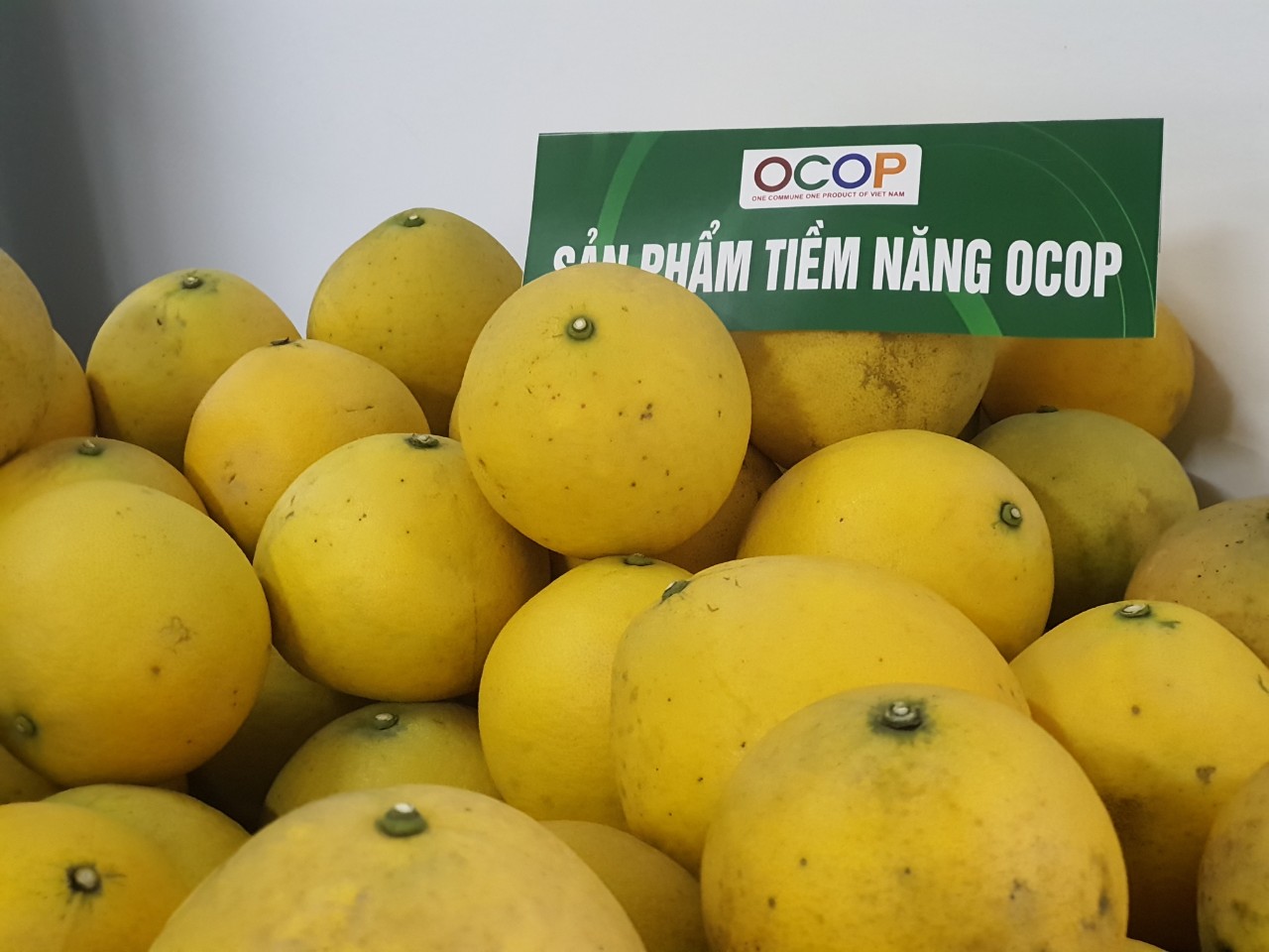 Country has 3,200 OCOP products