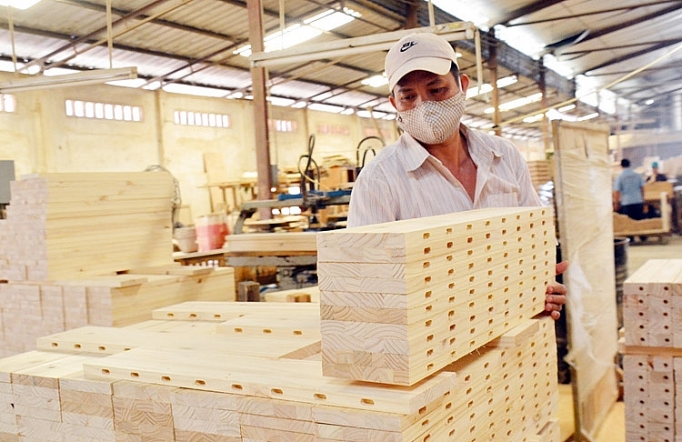 Forestry and wooden products see record trade surplus